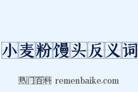 小麦粉馒头反义词是什么意思的图片